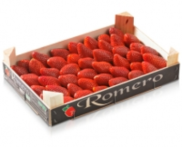 Premium Erdbeeren CHF 3.99