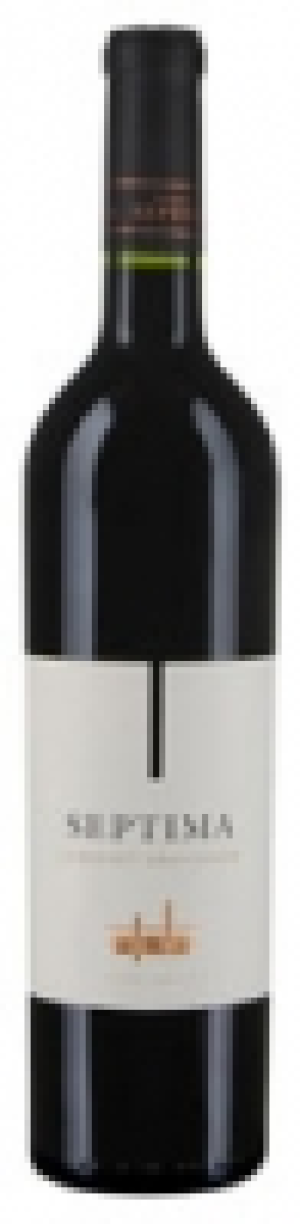 Bodega Septima Cabernet Sauvignon Mendoza 2014 CHF 10.35