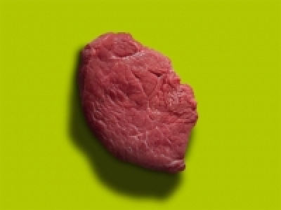 Bison Huftmedaillon