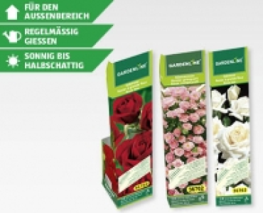 GARDENLINE&reg; Rosen