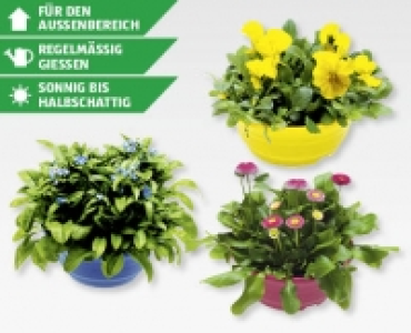 GARDENLINE&reg; Fruhlingsschalen