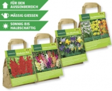 GARDENLINE® Blumenzwiebeln CHF 3.99