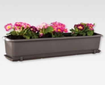 GARDENLINE® Blumenkisten-Set mit Bewässerung CHF 9.99