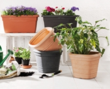 GARDENLINE® Pflanzgefäss aus Kunststoff CHF 7.99
