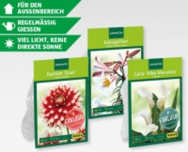 GARDENLINE® Exklusive Blumenzwiebeln CHF 2.99