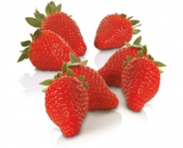 Premium Erdbeeren CHF 1.99