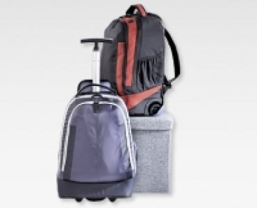 Rucksacktrolley CHF&nbsp;39.90