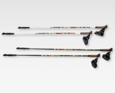 ADVENTURIDGE® Nordic-Walking-Stöcke CHF 19.99
