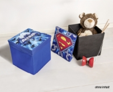 BATMAN/SUPERMANTM/MONSTER HIGHTM/SMILEY WORLD&reg; Sitzbox fur Kinder
