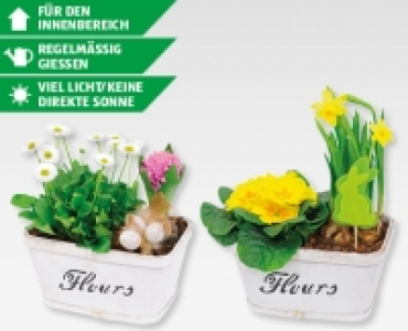GARDENLINE&reg; Bepflanztes Osterarrangement