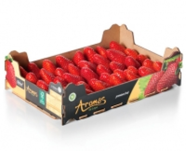 Premium Erdbeeren CHF 3.99