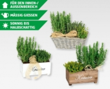 Kräuterkisten und Körbe