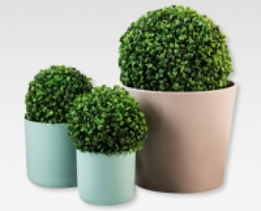 MY LIVING STYLE Kunstliche Buchsbaum-Dekoration CHF 9.99
