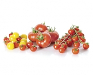 Premium Tomaten