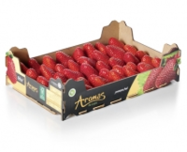 Premium Erdbeeren CHF 3.99