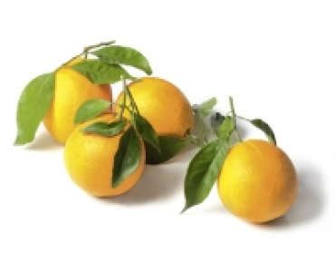Premium Blatt-Orangen