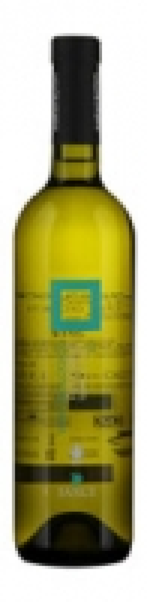 Naturaplan Bio Pecorino Jasci Terre di Chieti IGT 2015