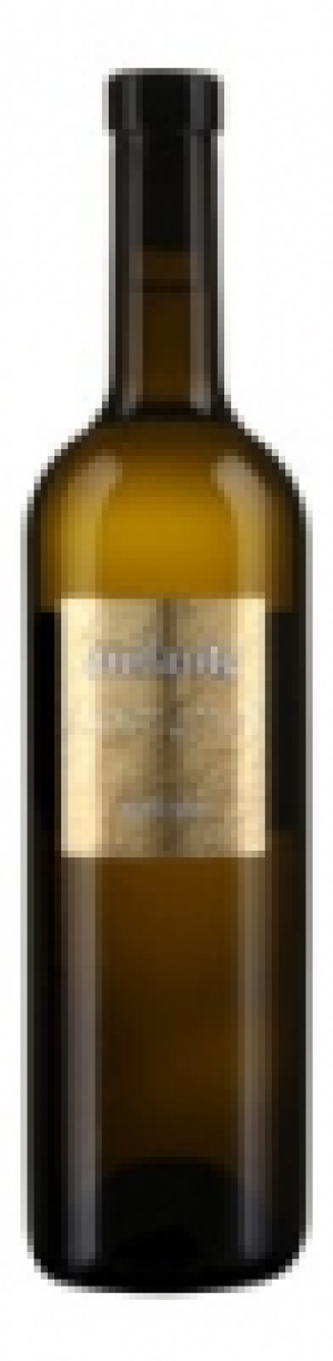 Puglia IGT Fiano Andante 2014