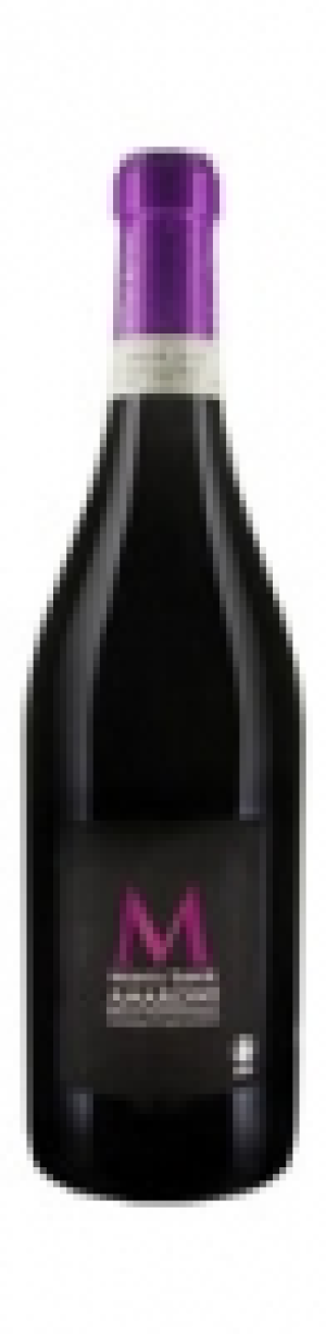 Naturaplan Bio-Amarone della Valpolicella DOC Monte Tabor 2011
