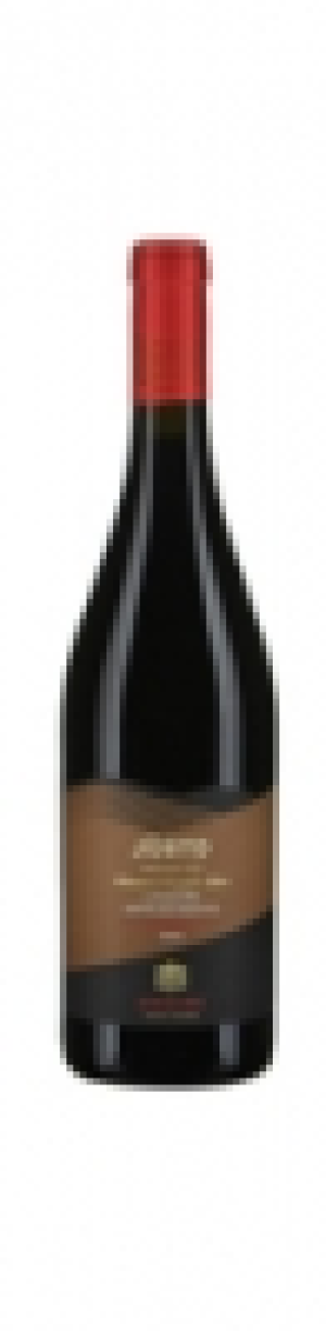Venezie IGT Jùsto Cesari 2012 CHF 8.75