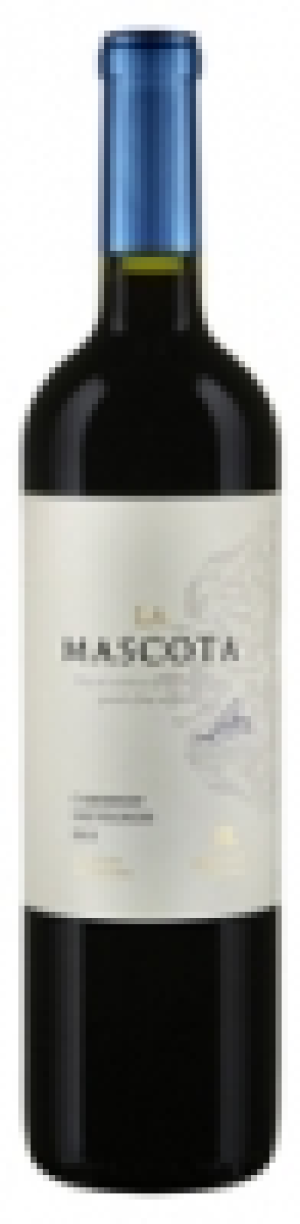 Cabernet Sauvignon Mendoza La Mascota 2013 CHF&nbsp;14.00