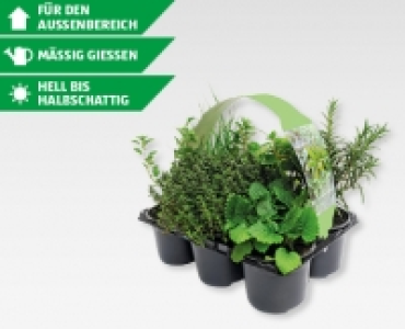 GARDENLINE® Kräuter-Mix