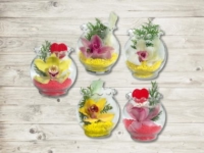 Orchideen Wellenrandglas (ab 2.5.)
