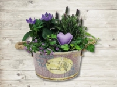 Muttertagstopf Lavendel (ab 2.5.)