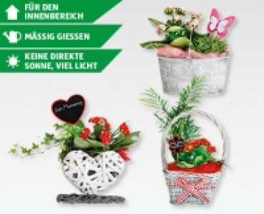 Muttertags-Arrangement CHF 7.99