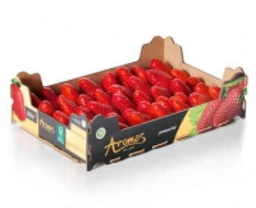 Premium-Erdbeeren CHF 3.99