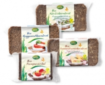 NATUR AKTIV Bio-Vollkornbrot