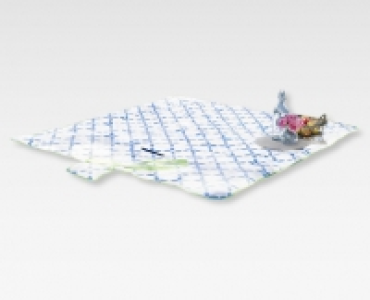 MY LIVING STYLE Camping-/Picknick-Decke CHF 9.99