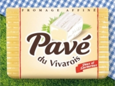 Pav&eacute; Weichk&auml;se, 48% Fett i. T.
