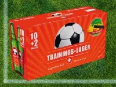 Falken Trainingslager