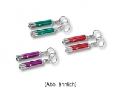 LED-Schlüssellampen, 2er CHF 2.99