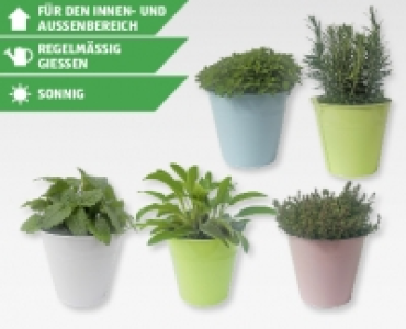 Gewürz-Mix im farbigen Zinktopf