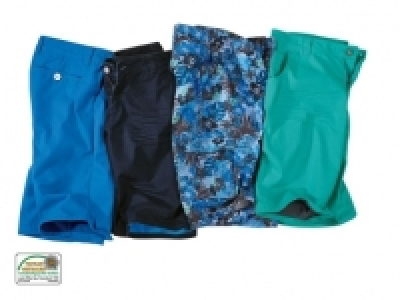 Bermudas1