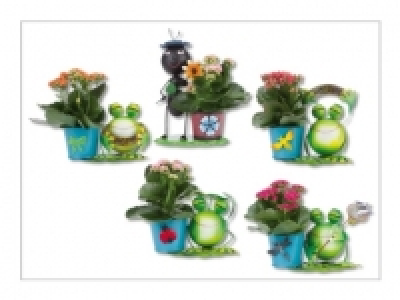 Zinkfiguren mit Kalanchoe (ab 23.6.)