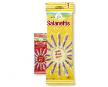 Salanettis