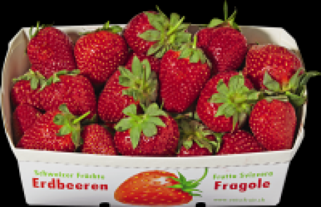 Erdbeeren CHF 3.95