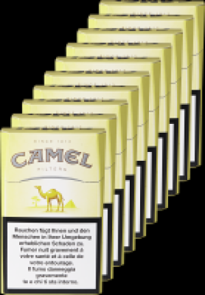 Camel