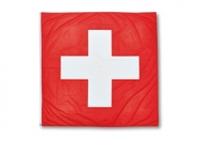 Fahne mit 2 Ösen CHF 9.95