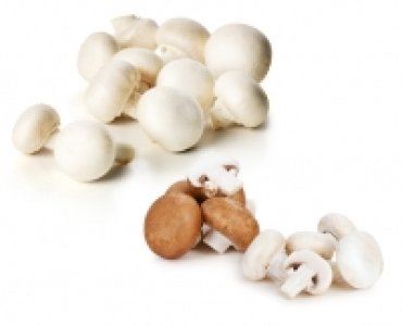 Champignons CHF 1.49