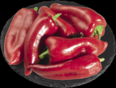 Peperoni Kapija CHF 1.80