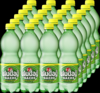 Uludag Gazoz CHF 15.60