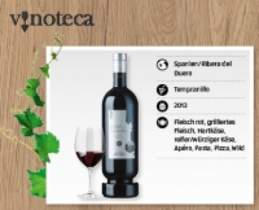 Casa de Castilla Crianza DO