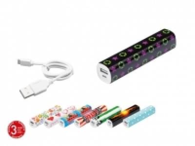 Powerbank CHF 9.99