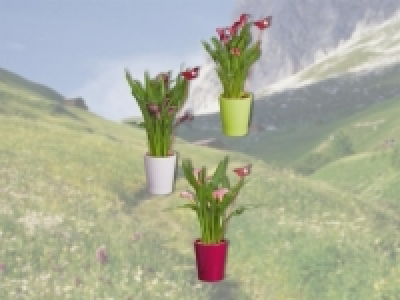 Calla in Keramik im Schweizer Schmetterlings-Look (ab 28.7.)