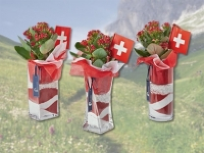 Kalanchoe im Glas mit Schweizer-F&auml;hnchen (ab 28.7.)