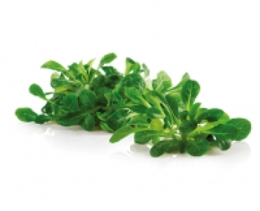 Nusslisalat CHF 1.99